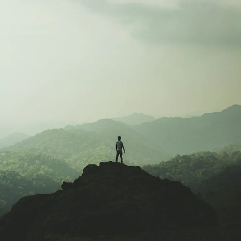 Capital investissement vs financement participatif : quels leviers pour financer durablement votre PME ?