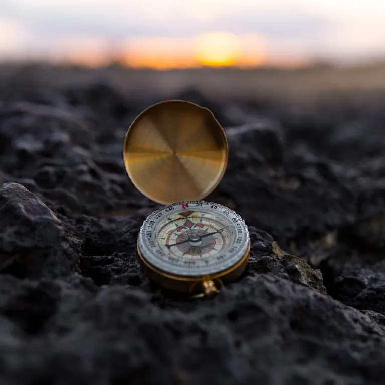 Explicabilité des modèles d’IA avec SHAP et LIME : un levier stratégique pour les dirigeants de PME